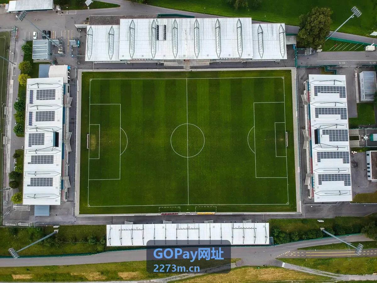 GOPay网址企业资金账户